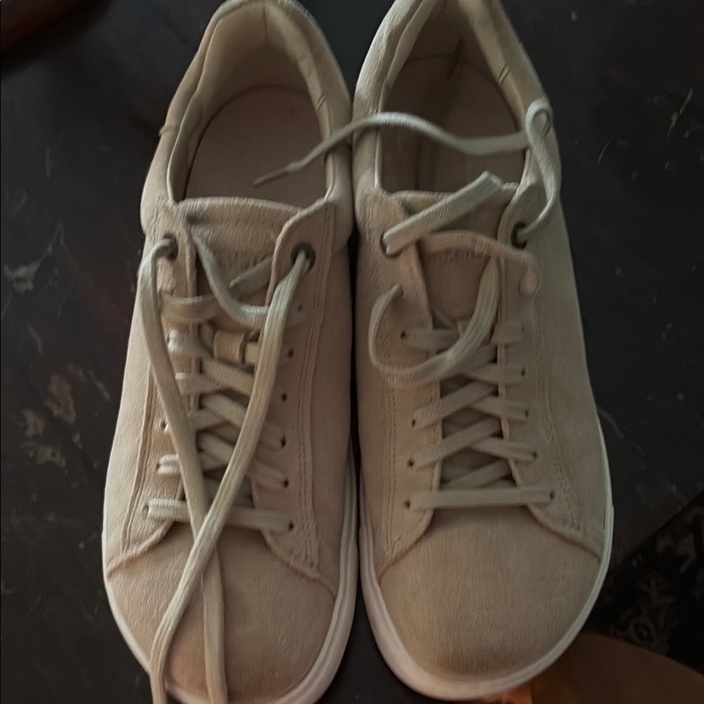 Birkenstock Bend Low Suede leather Taupe Sneakers for Men